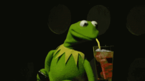 Kermit The Frog Gif Kermit The Frog Gif