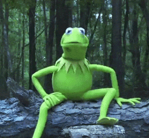 Kermit The Frog Gif Kermit The Frog Gif
