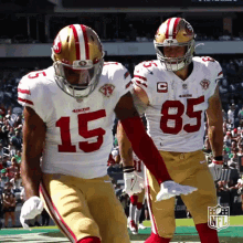 San Francisco 49ers Gif