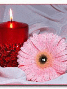 All Souls Day Gif All Souls Day Gif