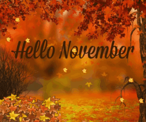 November Gif November Gif