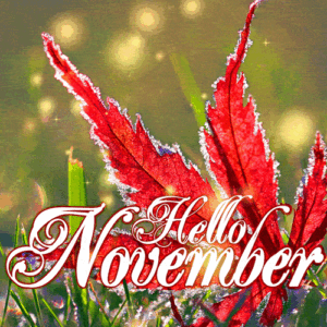 November Gif November Gif