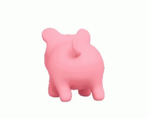 Pig Gif Pig Gif