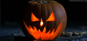 Pumpkin Gif Pumpkin Gif