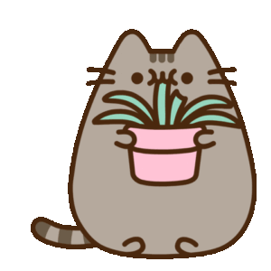 Pusheen Gif Pusheen Gif