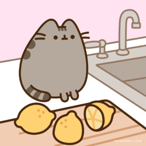 Pusheen Gif Pusheen Gif