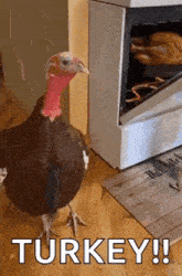 Turkey Gif