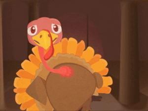 Turkey Gif Turkey Gif