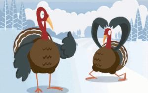 Turkey Gif Turkey Gif