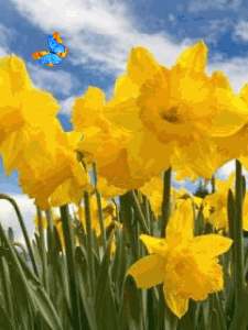 Yellow Gif Yellow Gif