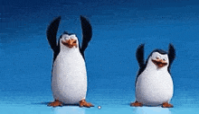 Penguins Gif
