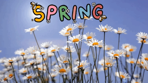 Spring Gif Spring Gif