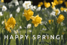 Spring Gif Spring Gif