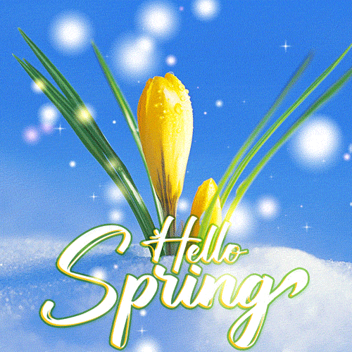 Spring Gif Spring Gif