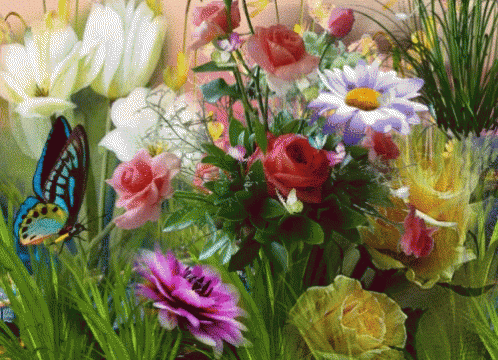 Spring Gif Spring Gif