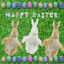 Easter Gif Easter Gif