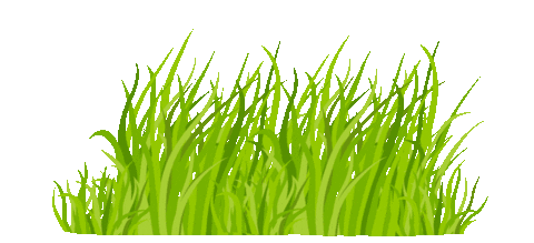 Grass Gif