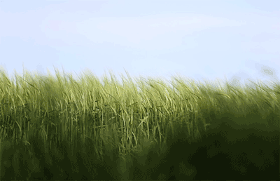 Grass Gif