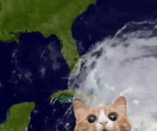 Tropical Cyclone Gif
