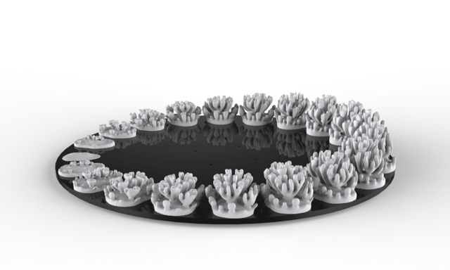 Zoetrope Gif Zoetrope Gif