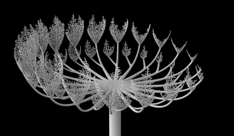 Zoetrope Gif Zoetrope Gif