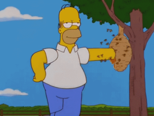 Homer Simpson Gif Homer Simpson Gif