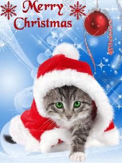 Christmas In July Gif
