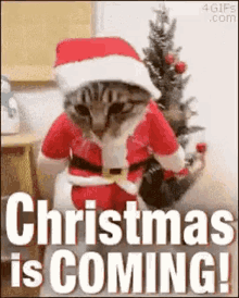 Christmas In July Gif