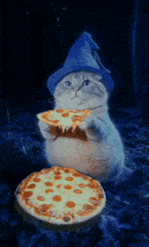 Pizza Gif Pizza Gif