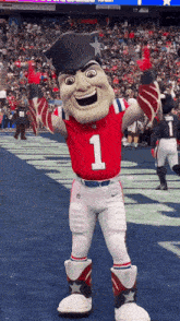 New England Patriots Gif