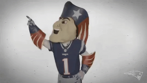 New England Patriots Gif