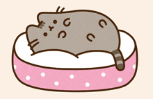 Pusheen Gif