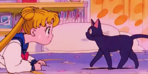 Sailor Moon Gif