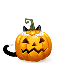 Pumpkin Gif